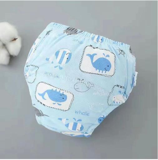 Culotte d'apprentissage 🐳